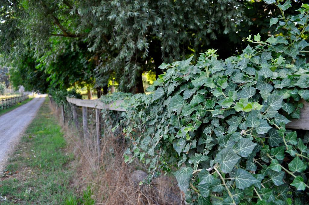 Le Macine Relais Bed and Breakfast Cairo Montenotte Buitenkant foto